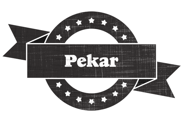 Pekar grunge logo