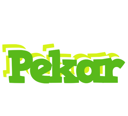 Pekar picnic logo
