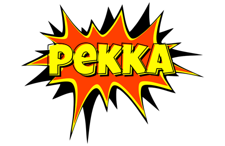 Pekka bazinga logo