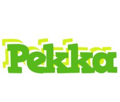 Pekka picnic logo