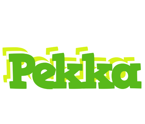 Pekka picnic logo