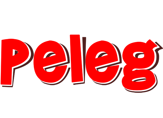 Peleg basket logo