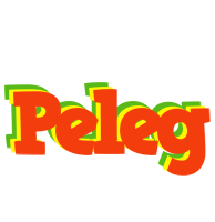 Peleg bbq logo