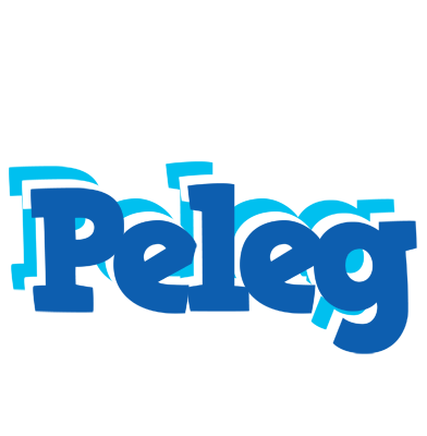 Peleg business logo