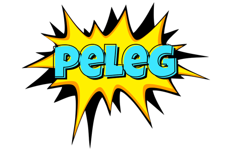 Peleg indycar logo