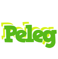 Peleg picnic logo