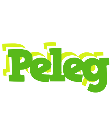 Peleg picnic logo