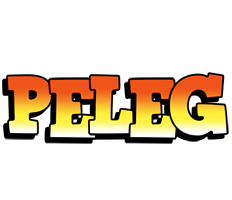 Peleg sunset logo