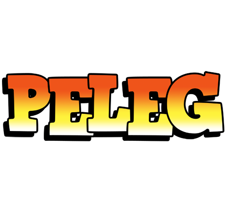Peleg sunset logo