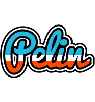 Pelin america logo