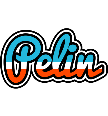 Pelin america logo