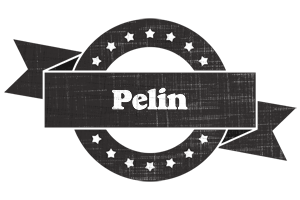 Pelin grunge logo