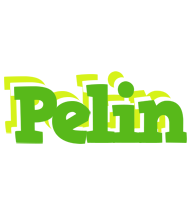 Pelin picnic logo