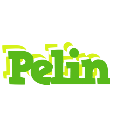 Pelin picnic logo