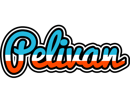 Pelivan america logo