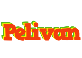 Pelivan bbq logo