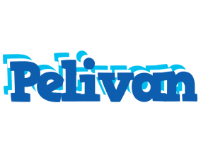 Pelivan business logo