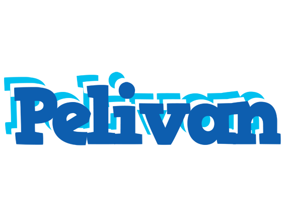 Pelivan business logo