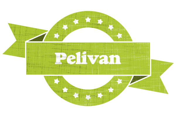 Pelivan change logo