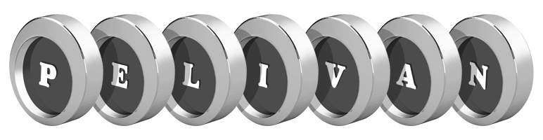 Pelivan coins logo