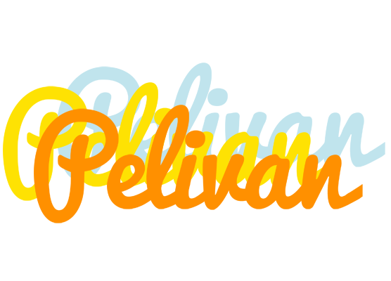 Pelivan energy logo
