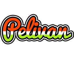 Pelivan exotic logo