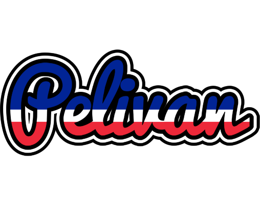 Pelivan france logo