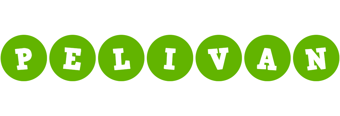 Pelivan games logo