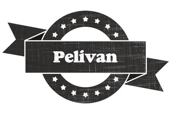 Pelivan grunge logo