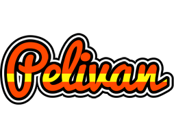 Pelivan madrid logo