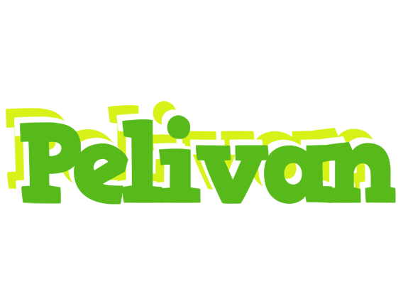Pelivan picnic logo