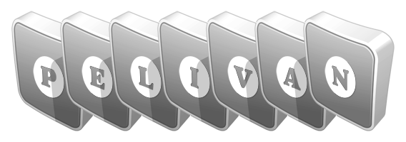 Pelivan silver logo