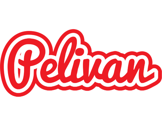 Pelivan sunshine logo