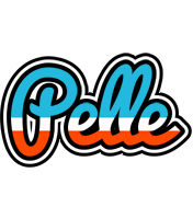 Pelle america logo