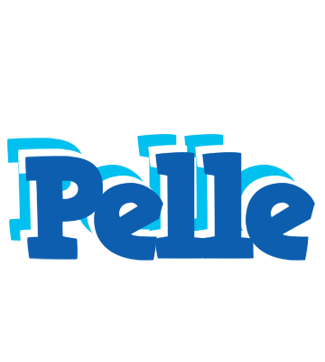 Pelle business logo