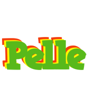 Pelle crocodile logo