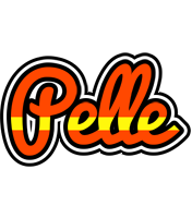 Pelle madrid logo