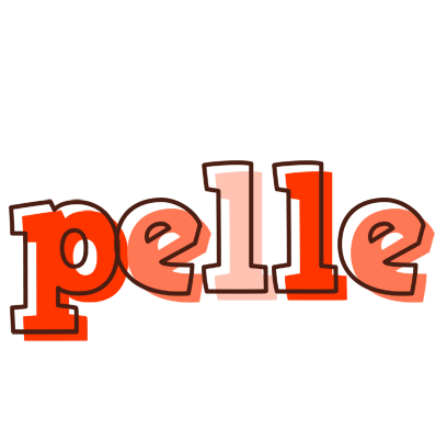Pelle paint logo