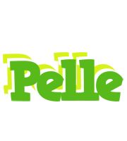 Pelle picnic logo