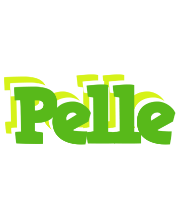 Pelle picnic logo