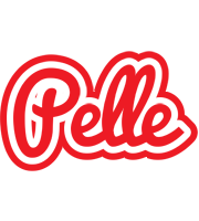 Pelle sunshine logo