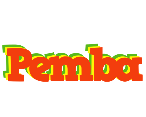 Pemba bbq logo