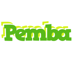 Pemba picnic logo