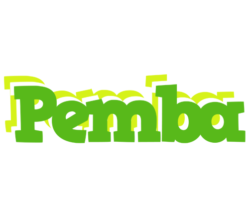 Pemba picnic logo