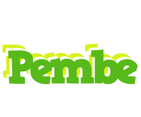 Pembe picnic logo