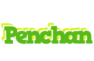 Penchan picnic logo