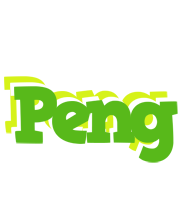 Peng picnic logo