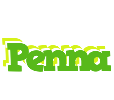 Penna picnic logo