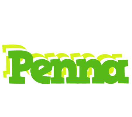 Penna picnic logo