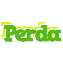 Perda picnic logo